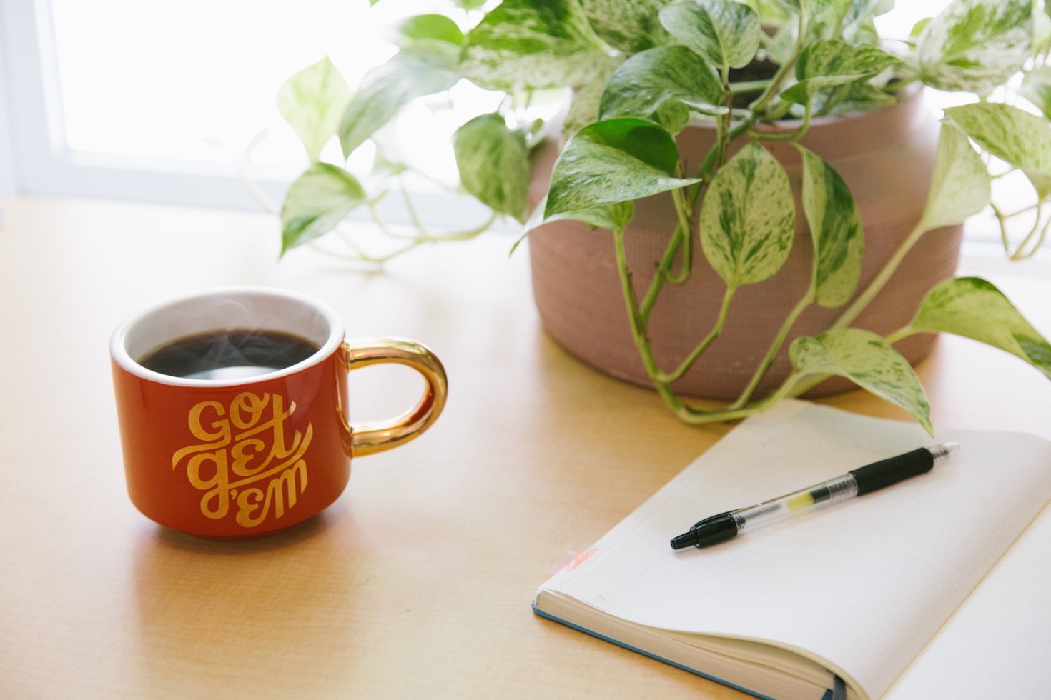 Finding Joy and Humor in Everyday Chaos
