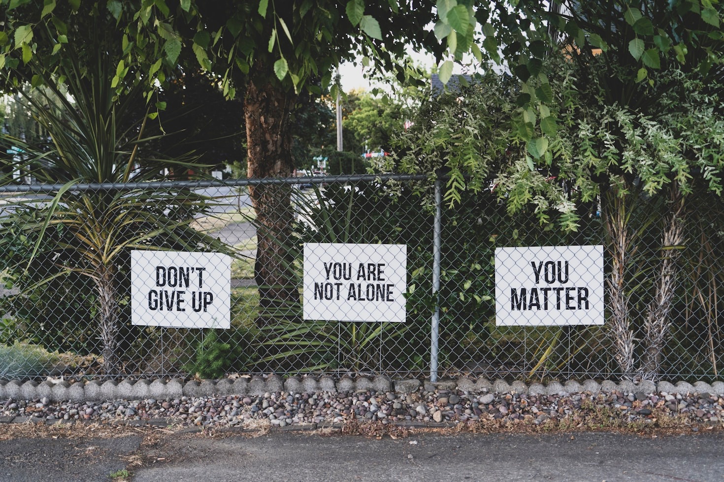 Crafting a New Path: Tips From Real Experiences